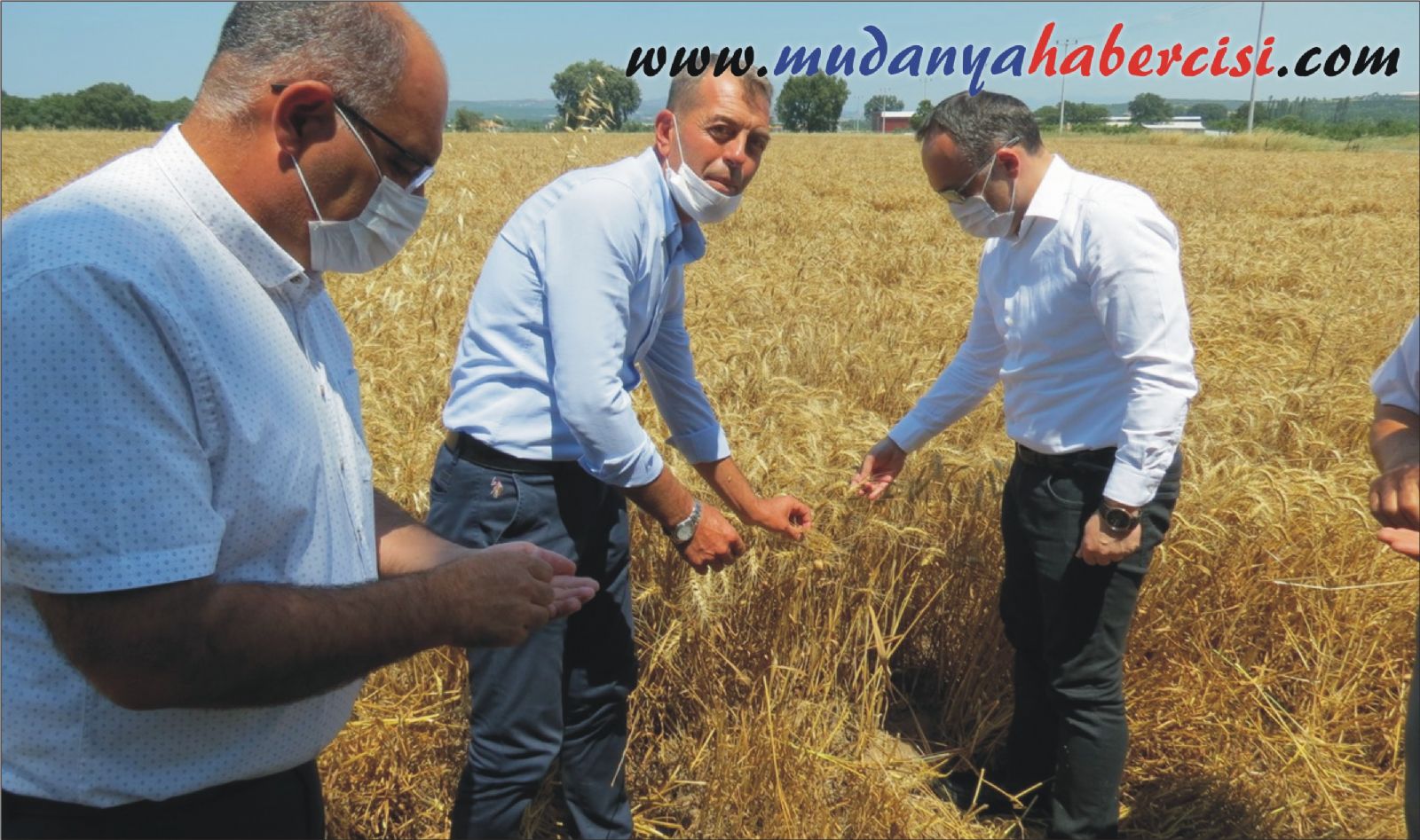 MUDANYA'DA HUBUBAT HASADI BALADI